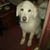 Donna Dubendorf's profile image