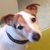 Monica Jrt Coluccia's profile image