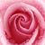 Donna Prociw Blunt's profile image