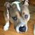 John Bosso's profile image