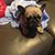 Dyan Johnson Conway's profile image