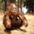 Raymond Wright's profile image