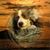 Pam Lawson's profile image