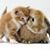 Carol Podgorski's profile image