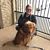 Anna Bavido's profile image