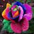 Sherry Edmonson's profile image