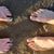 Dan Smith's profile image