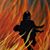Lee F Cappis's profile image
