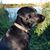 Ron Severns's profile image