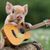 Joel Veatch's profile image