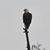 Robin Lee Powell's profile image