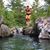 Holly Rickless-Wilcox's profile image
