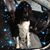 Tracie Stimpson's profile image