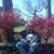 Robert Krawchyk's profile image