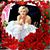 Sandy Garza's profile image