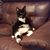 Jennifer Geer's profile image