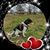 Elizabeth N Bobby Meredith's profile image