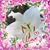 Henrietta Cole's profile image