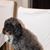 Amy Leff's profile image