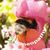 Staci Brown's profile image