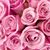 Karen R. Brown's profile image