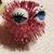 Rebecca Gladden Shapard's profile image