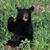Candy Wagner Hann's profile image