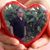 Kathie Long-Raimondi's profile image