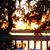 Barb Besancon's profile image