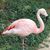 Sherryl Koehring Meyers's profile image