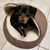 Roxy Huttner's profile image