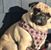 Linda Borges's profile image