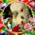 Cathy Hayden Carroll's profile image