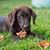 Tammie Poage's profile image