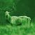 Derrick James's profile image
