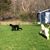 Sharon Ferraro's profile image