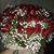 Antonelli Loredana's profile image