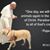 Patrick Cosgrove's profile image