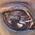 Sharon Hinzmann's profile image