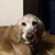 Jennifer Murphy's profile image