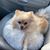 Lena Tucker Davis's profile image