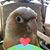 Mj Dover's profile image