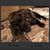 Tracey Moore Monteith's profile image