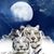 Patricia Smith's profile image