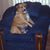 DaveandBrenda Wolford's profile image