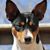 Pam Reynolds's profile image