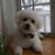 Jodie Fithian Schau's profile image