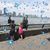 Brenda Berkheiser's profile image