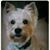 Cecelia Hartness's profile image