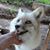 Kathy Corbin Waggoner's profile image